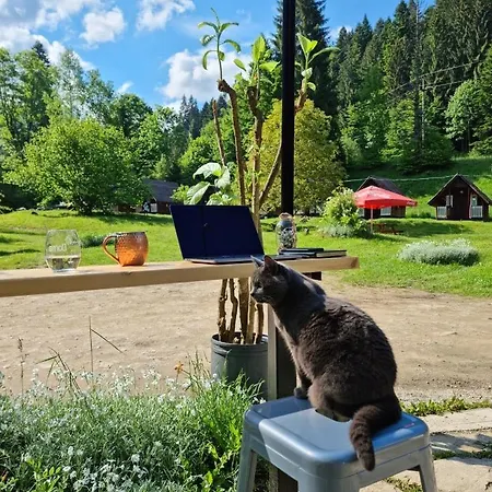 Camping Ursulet Durau Ceahlău