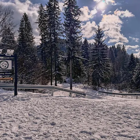 Ursulet Durau Camping Ceahlău