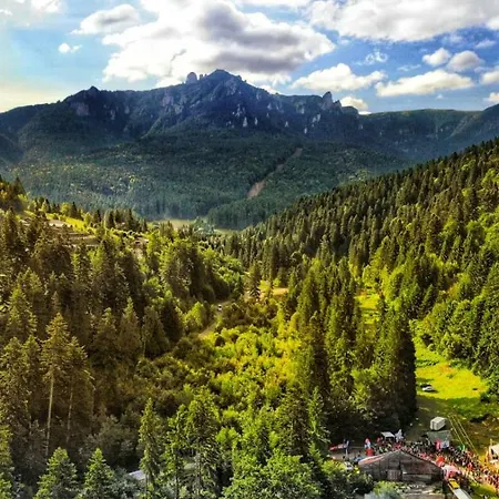 Ursulet Durau Camping Ceahlău